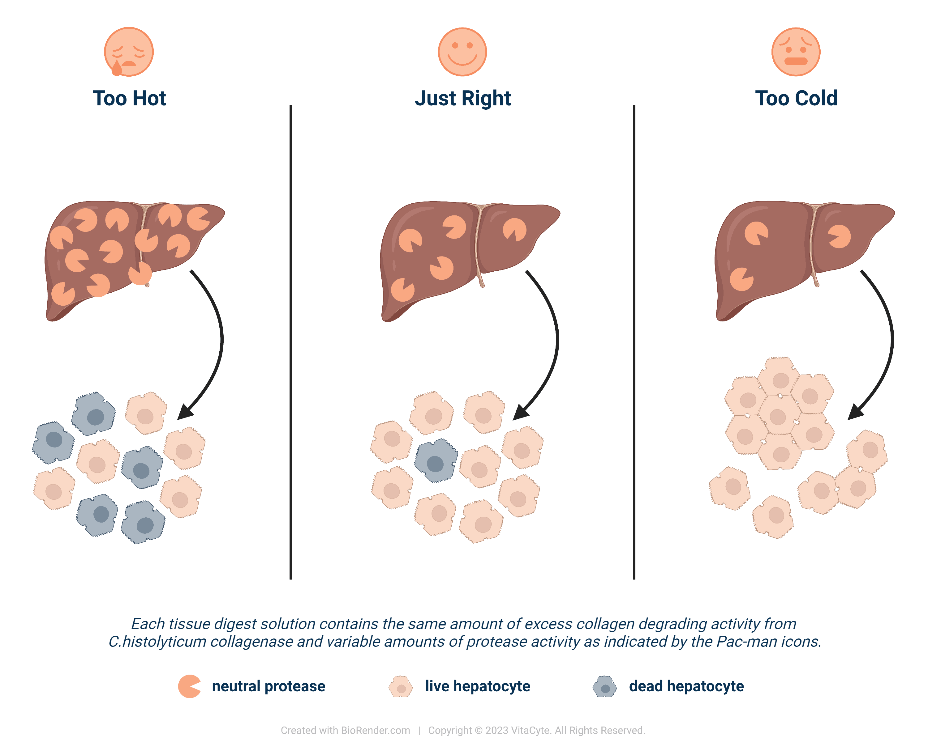 Goldilocks Zone: Hospitable Conditions for Cell Isolation